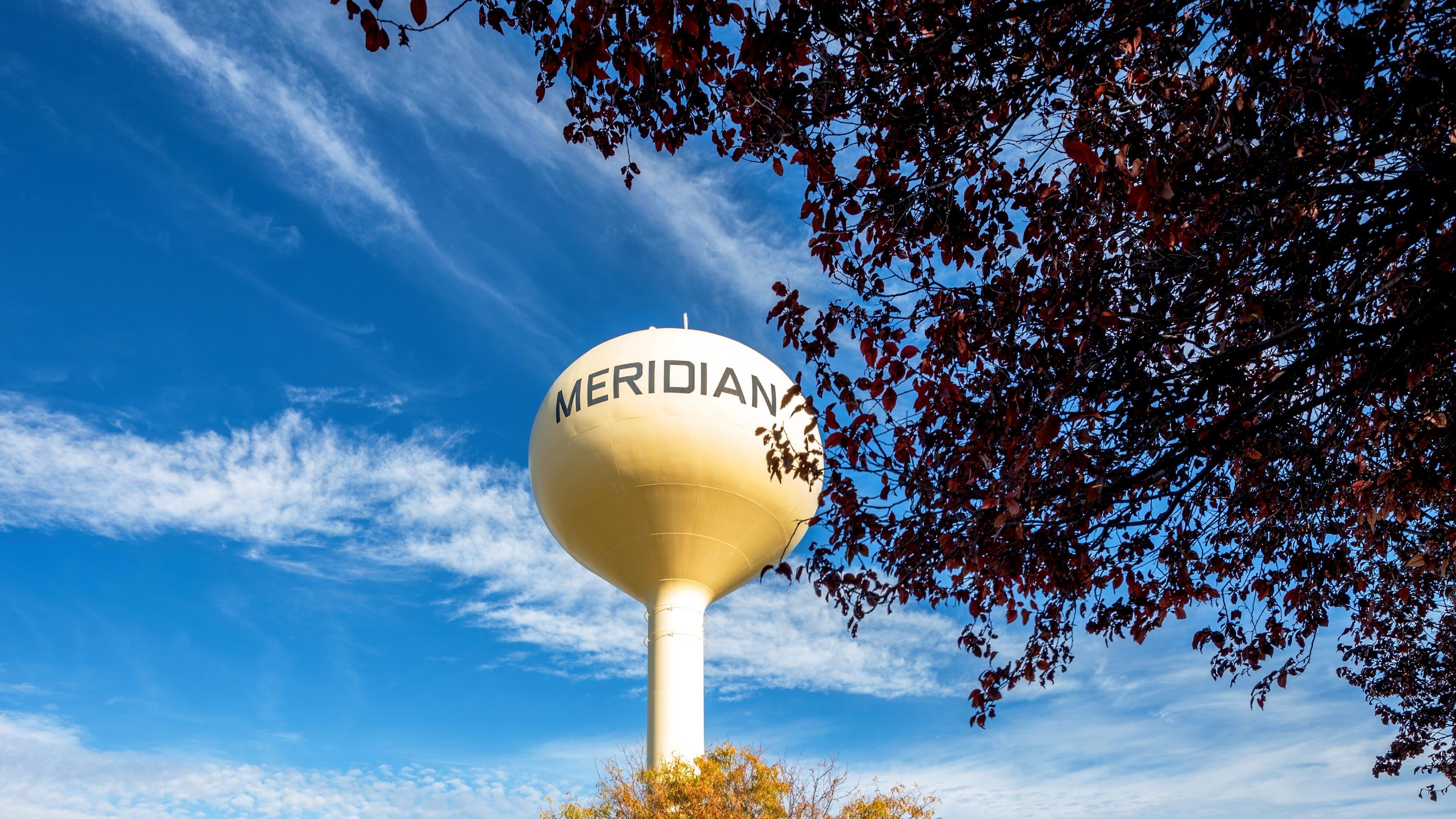 Meridian Water Tower 